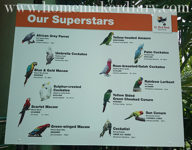 kl-birdpark-photo-booth